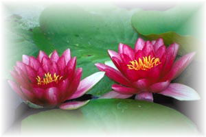 �J�J�V���@